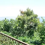 Apartman Pava *