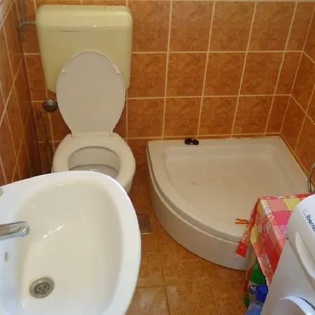 Pava * ストモルスカ