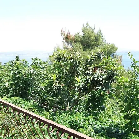 Appartement Pava *